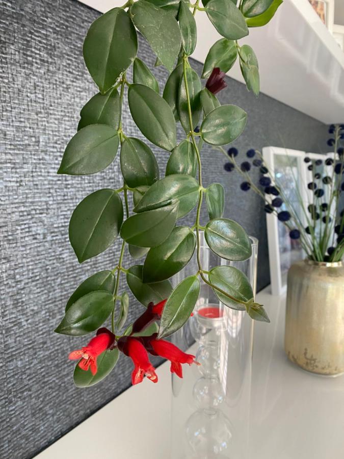 Riverside - Apartment Cruz Quebrada Екстериор снимка